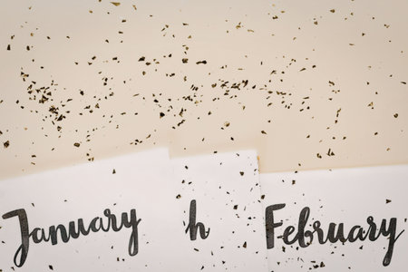 a digital illustration of january and february months on a white and yellow background with black specksの写真素材
