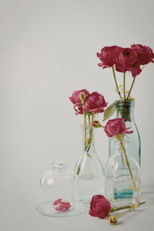 A serene still life arrangement featuring pink flowers in glass vases and one lying on the table...