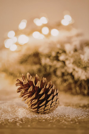 A pinecone sits on snow with Christmas lights in the background.の写真素材