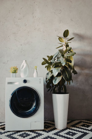 A washing machine placed next to a potted plant and decorative items on topの写真素材