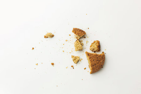 a broken cookie with crumbs and pieces scattered on a plain white background, with a few large chunks and many small crumbs