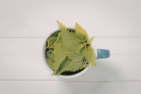 a white mug with a blue handle is filled with green leaves and sits on a white wooden table with horizontal slats