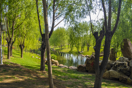 River flowing through the forestの写真素材