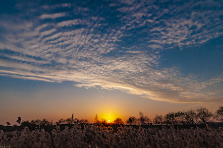 Beihu National Wetland Park, Changchun, China sunset sceneryの写真素材