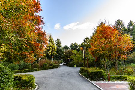 Autumn landscape of Nanhu Park, Changchun, China