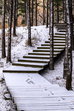 Changchun Jingyuetan National Forest Park in the snowの写真素材