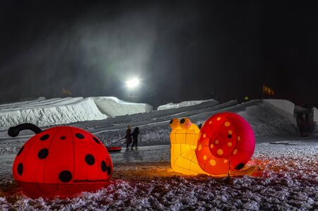 Night scene of Changchun Spring Festival ice and snow sculpture event