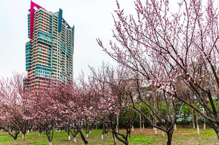 Cityscape of Changchun City in China in Springのeditorial素材