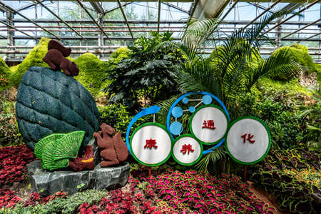 Scene of the plant exhibition area of the 19th China Changchun International Agriculture, Food Expo (Trade)のeditorial素材