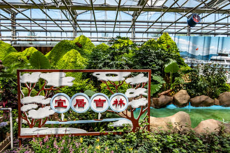 Scene of the plant exhibition area of the 19th China Changchun International Agriculture, Food Expo (Trade)のeditorial素材