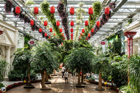 Scene of the plant exhibition area of the 19th China Changchun International Agriculture, Food Expo (Trade)のeditorial素材