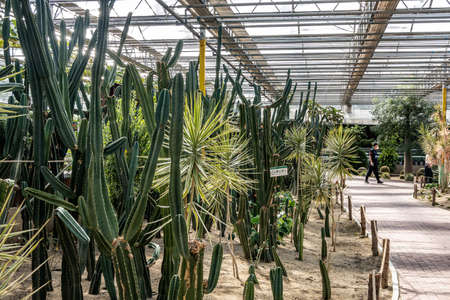 Scene of the plant exhibition area of the 19th China Changchun International Agriculture, Food Expo (Trade)のeditorial素材