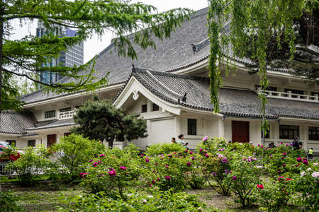 Peony flowers blooming in Changchun Peony Garden, Chinaのeditorial素材