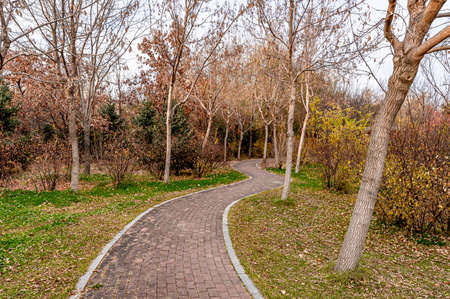 Autumn scenery of Baimu Garden in Changchun, China