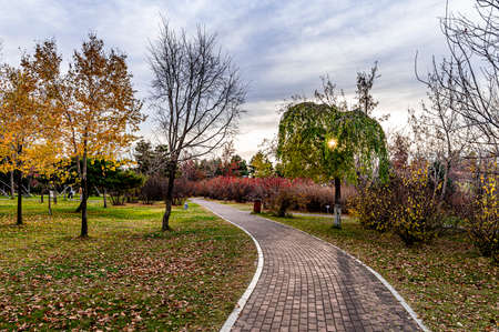Autumn scenery of Baimu Garden in Changchun, China