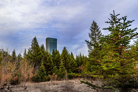 Autumn scenery of Baimu Garden in Changchun, Chinaのeditorial素材