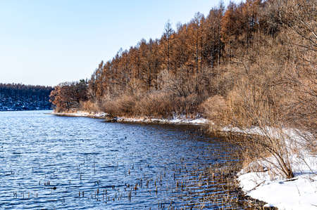 Scenery of Jingyuetan National Forest Park in Changchun, China after snowの写真素材