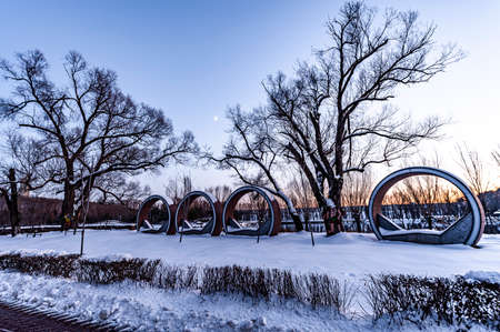 Scenery of Jingyuetan National Forest Park in Changchun, China after snowの写真素材