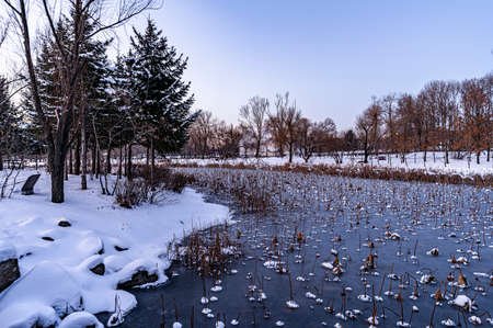 Scenery of Jingyuetan National Forest Park in Changchun, China after snowの写真素材