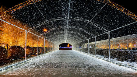 Night view of Ice and Snow Park in Changchun World Sculpture Park, Chinaのeditorial素材