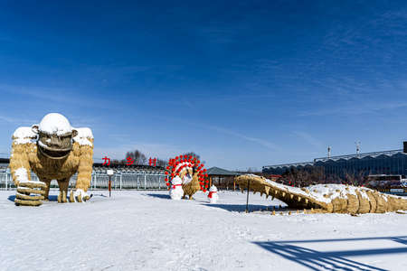 Welcome the Spring Festival, the architectural scene of the 12th China Jilin Changchun Winter Agricultural Expoのeditorial素材