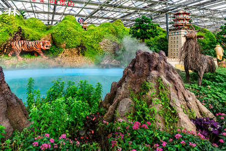 The scene of the plant exhibition area of the 12th China Jilin Changchun Winter Agricultural Expoのeditorial素材