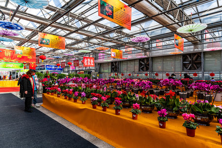 The scene of the plant exhibition area of the 12th China Jilin Changchun Winter Agricultural Expoのeditorial素材