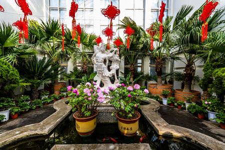 Scene of Spring Festival Flowers Exhibition in Changchun Children's Park, Chinaのeditorial素材