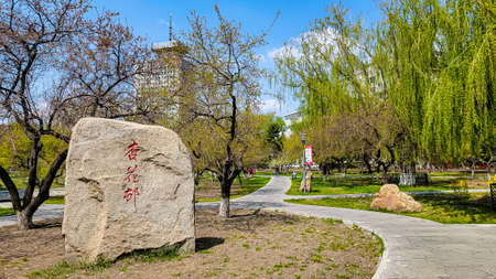 Spring scenery of Xinghuacun Park in Changchun, China