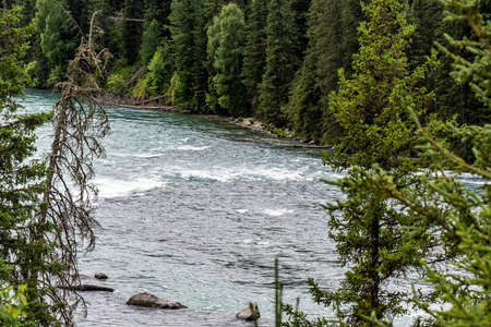 Landscape of Kanas Scenic Spot in Xinjiang, China