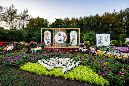 chrysanthemum gardening shapeの写真素材