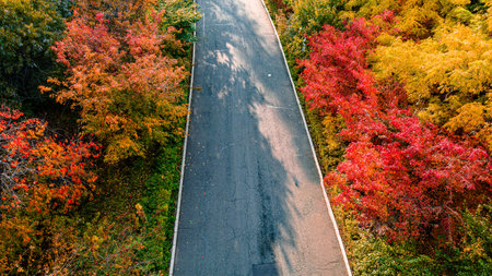 Autumn scenery of red leaves in Nanhu Park, Changchun, China