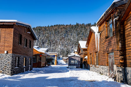 Landscape of houses and courtyards after snow in China's snow townの写真素材
