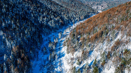 Forest and Mountain Road Snow Scenery in the Yangcao Mountain Scenic Area of China's snow townの写真素材