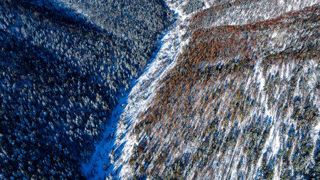 Forest and Mountain Road Snow Scenery in the Yangcao Mountain Scenic Area of China's snow townの写真素材