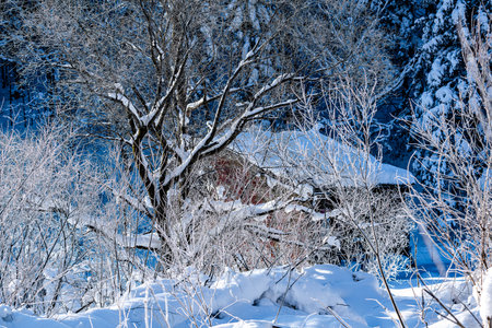 Scenery after snow at Yangcao Mountain Scenic Area in China's snow townの写真素材
