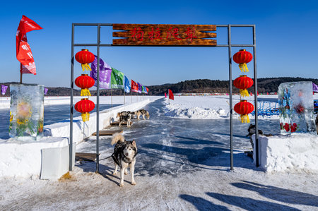 January 9, 2024, Changchun, China. Jingyuetan Park Snow World displays 72 groups of ice flower shapes, each group showing unique winter magic.のeditorial素材