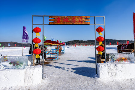 January 9, 2024, Changchun, China. Jingyuetan Park Snow World displays 72 groups of ice flower shapes, each group showing unique winter magic.のeditorial素材