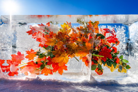 flowers blooming in iceの写真素材