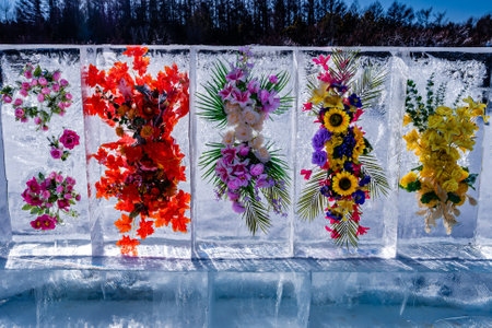flowers blooming in iceの写真素材