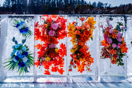 flowers blooming in iceの写真素材