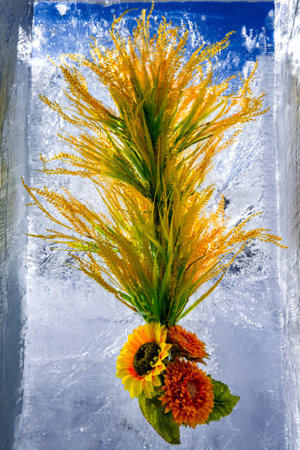 flowers blooming in iceの写真素材