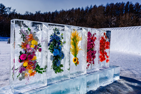 flowers blooming in iceの写真素材