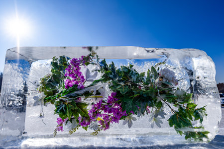 flowers blooming in iceの写真素材