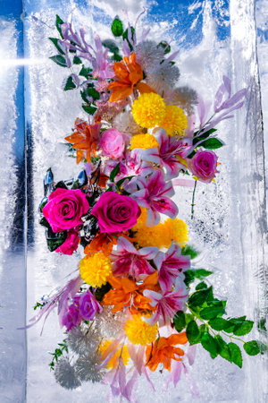 Flowers blooming in the iceの写真素材