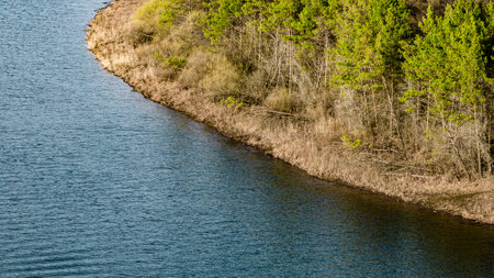 Spring scenery of Jingyuetan National Forest Park in Changchun, Chinaの写真素材