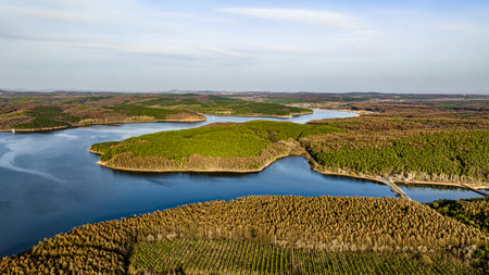Spring scenery of Jingyuetan National Forest Park in Changchun, Chinaの写真素材