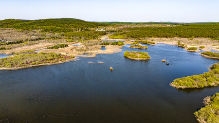 Spring scenery of Jingyuetan National Forest Park in Changchun, Chinaの写真素材