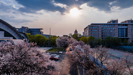 On April 22, 2024, Changchun, China, the architectural landscape of Nanling Campus of Jilin University.のeditorial素材