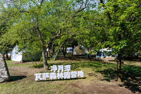 On May 28, 2024, Changchun, China: the scene of the Vasa Forest Campground in Changchun Jingyuetan National Forest Park in early summer.のeditorial素材